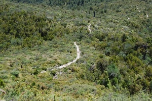 The track to the top